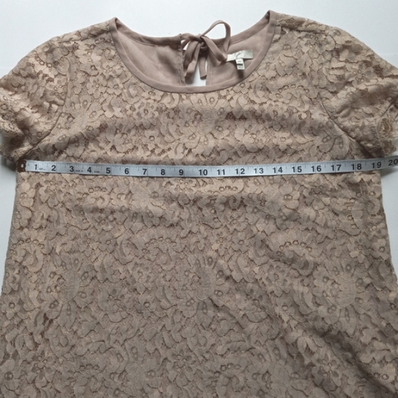 Joie Marella Lace Blouse Medium Tan Fringe Romantic Feminine Victorian - Picture 13 of 16